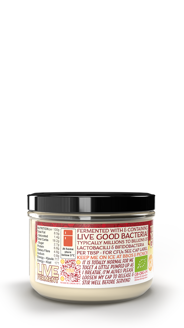Live fermented organic probiotic gut healthy houmous