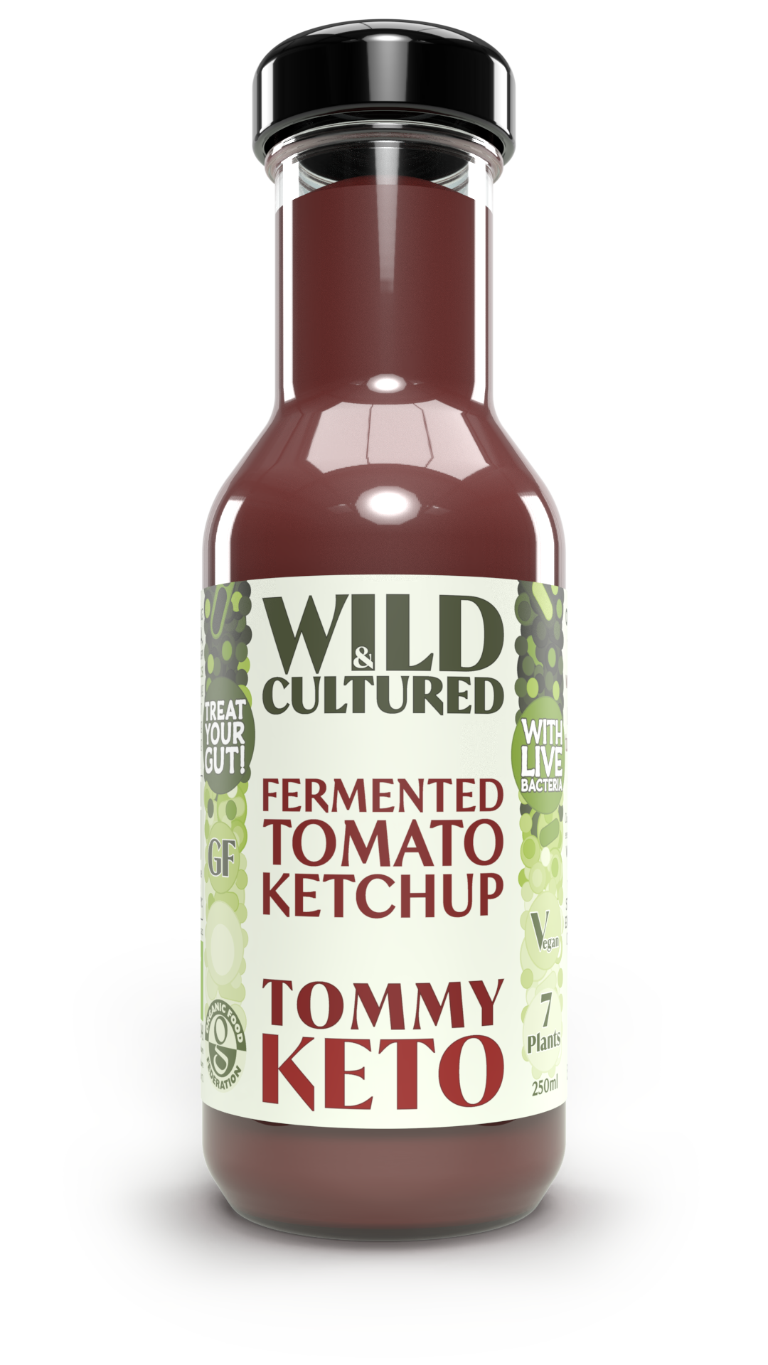 Live fermented organic probiotic gut healthy tomato sauce (ketchup)