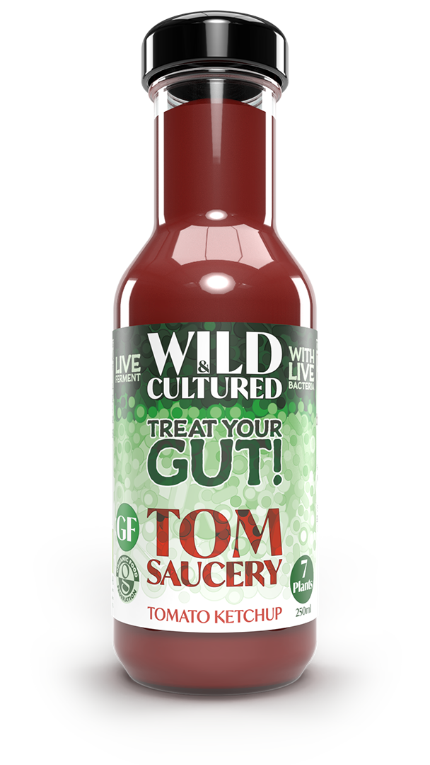 Live fermented organic probiotic gut healthy tomato sauce (ketchup)