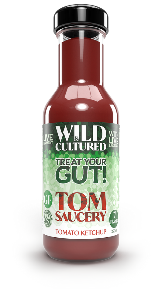 Live fermented organic probiotic gut healthy tomato sauce (ketchup)