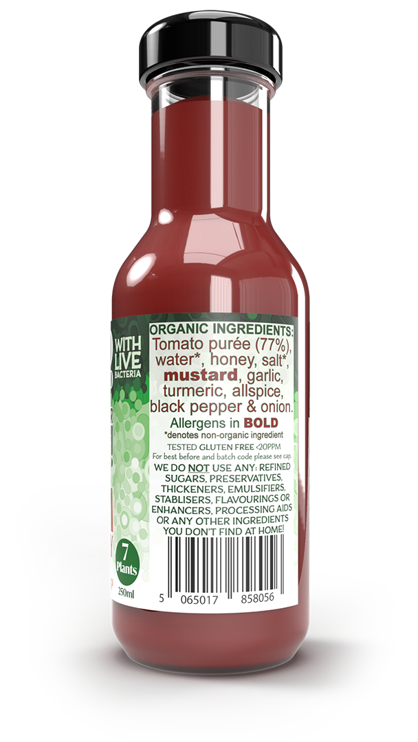 Live fermented organic probiotic gut healthy tomato sauce (ketchup)