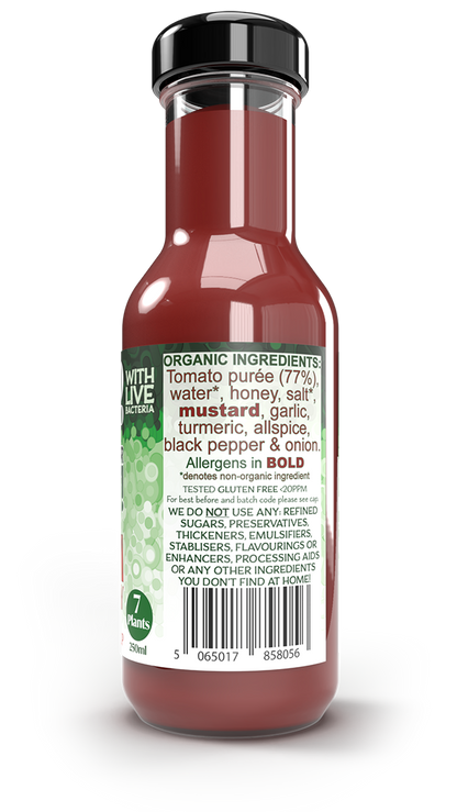 Live fermented organic probiotic gut healthy tomato sauce (ketchup)